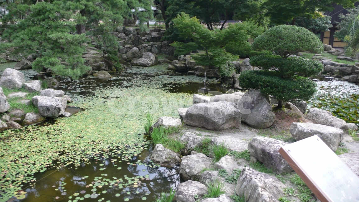 연못,수생식물,나무,자연,한국정원,정원,자연,풍경,nature,landscape,한국자연풍경,한국자연경관,korea nature landscape,한국전통,한국문화,korean traditional,korean culture,water,물,outdoors,옥외