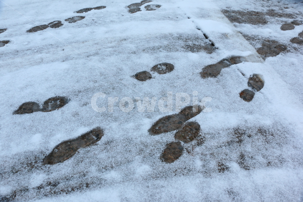 발자국,눈,눈보라,바닥,땅,화이트,겨울,white,신발자국,winter,자국,도로,road,겨울,계절,winter,season