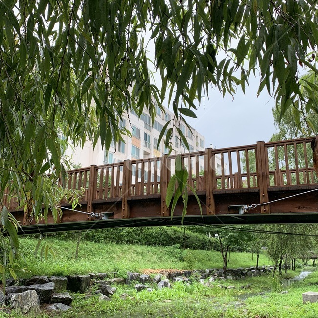 tree,나무,plant,식물,다리,자연,풍경,nature,bridge,식물,자연,plants,nature