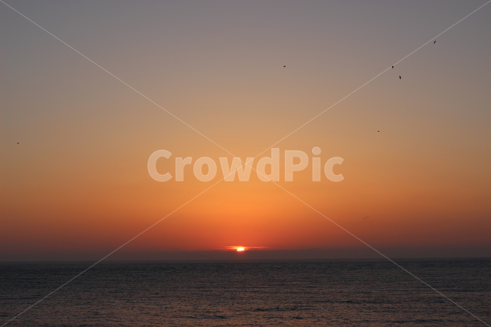 일몰,제주도,해질녘,바다,제주도일몰,노을,태양,자연,풍경,nature,landscape,outdoors,옥외,sky,하늘,sunset,dusk,황혼,dawn,새벽,red sky,붉은 하늘
