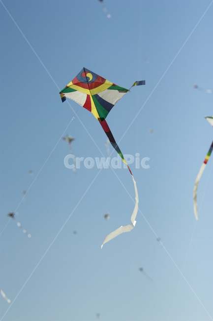 연날리기,연,가오리연,연줄,축제연,한국전통,한국문화,korean traditional,korean culture,스포츠,레저,운동,sports,leisure,exercise