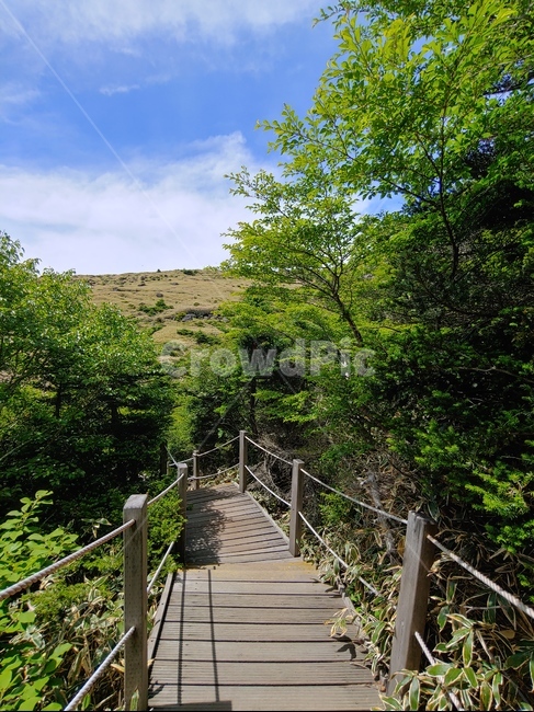 하늘,산,구름,들판,길,mountain,sky,clouds,green,초록,등산,한라산,배경,데크