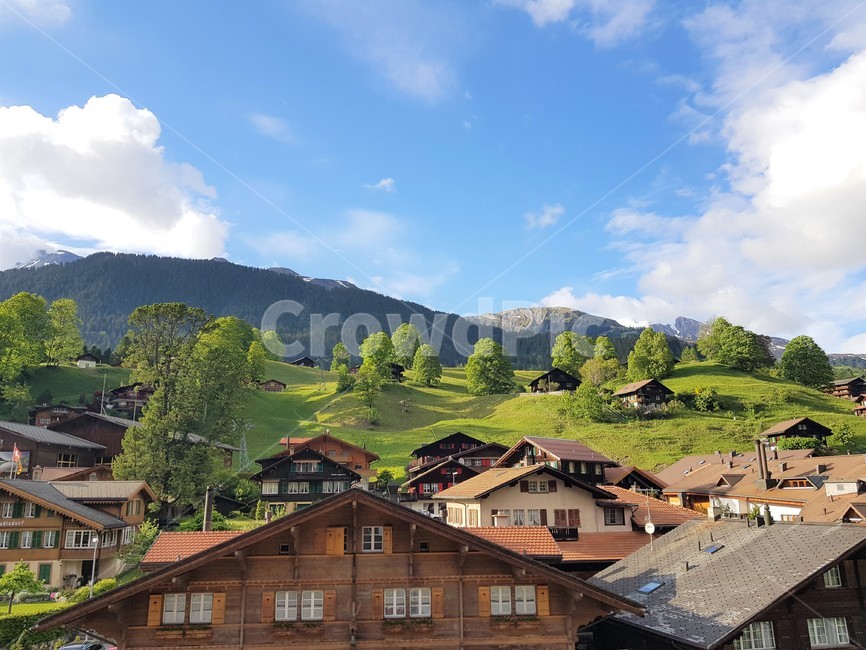 스위스,그린델발트,마을,풍경,샬레,시골,마을,풍경,landscape,country,rural,town,해외,외국,세계,foreign,oversea,world