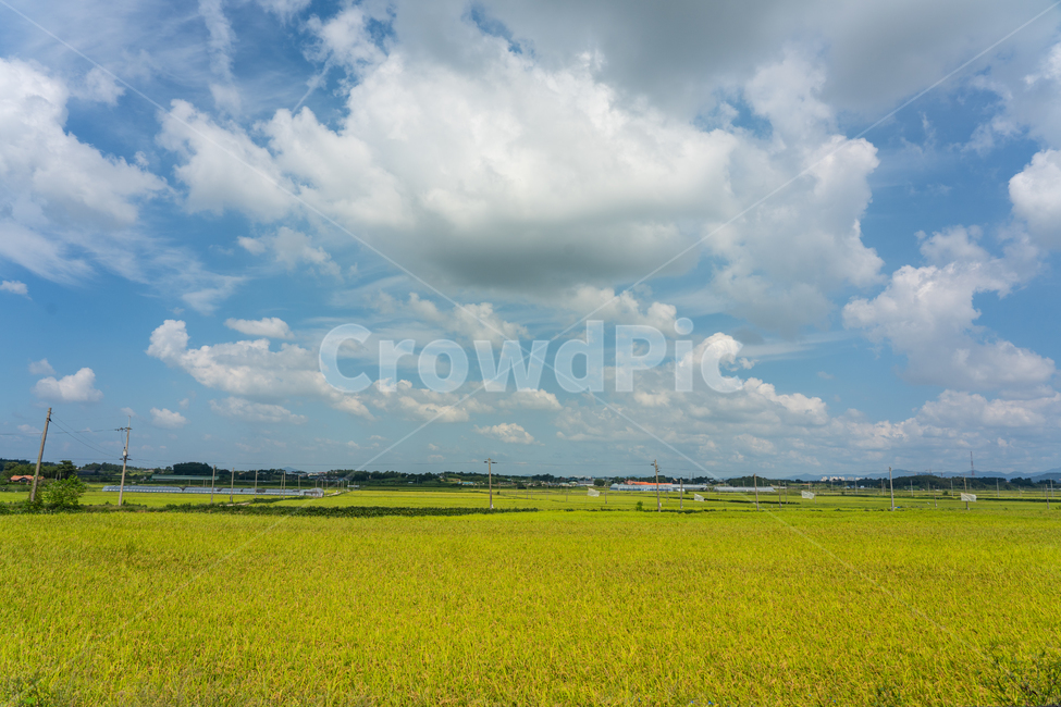 sky,cloud,하늘,구름,자연,풍경,자연,풍경,nature,landscape,시골,마을,country,rural,town,outdoors,옥외,grassland,목초지,field,들