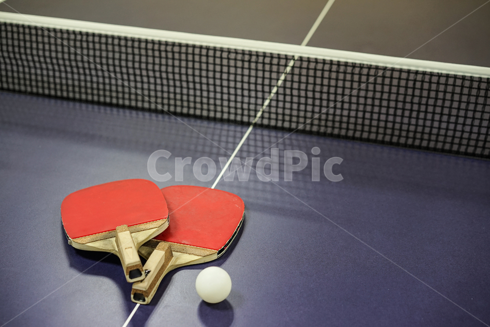 탁구,탁구대,스포츠,탁구라켓,탁구공,tabletennis,스포츠,레저,운동,sports,leisure,exercise,사물,물건,오브젝트,thing,object,matter