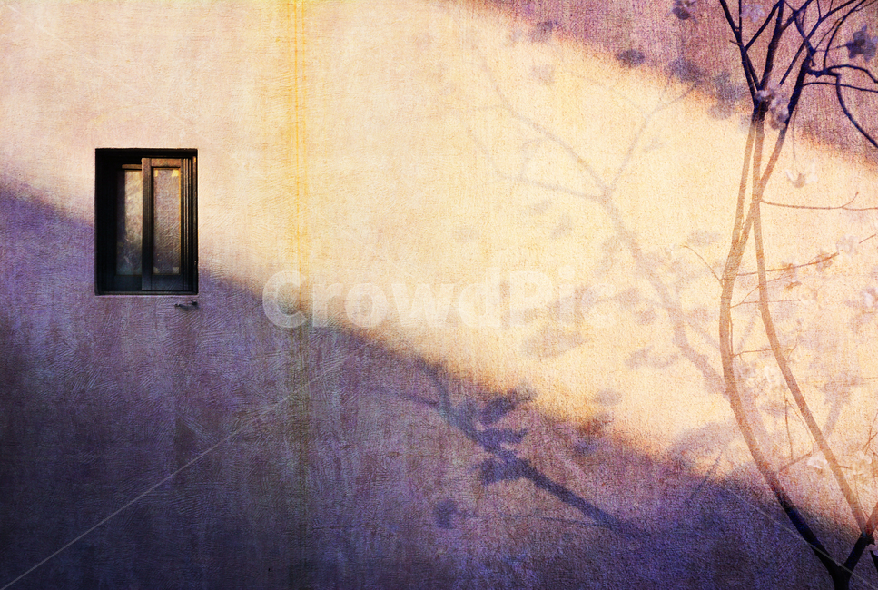 빈티지,감성,창문,벽,겨울나무,그림자,오후,shadow,winter,wall,background,배경,바탕,백그라운드,emotional,feeling,sensible,사선,빛,구성,vinatge,분위기,빈티지사진,빈티지느낌,빈티지감성,vintage