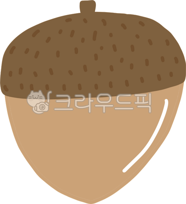 autumn,autumn fruit,hand drawing,fruit,acorn