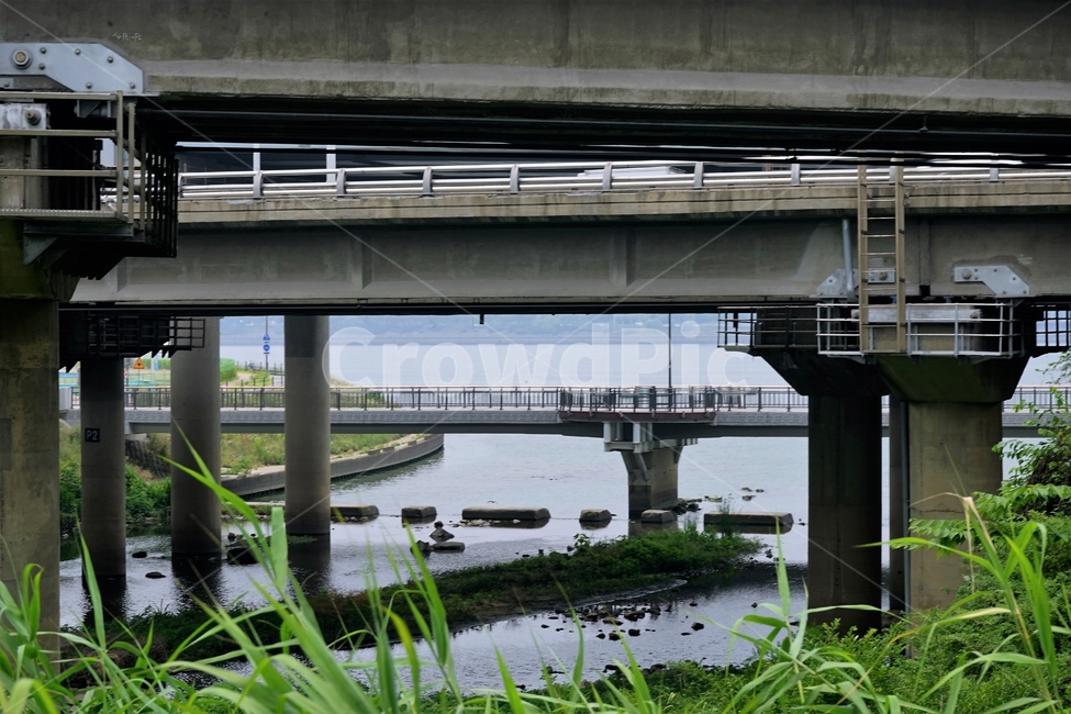 하천,교량,교각,기둥,물,풀,인공,river,bridge,overbridge,water,도시,풍경,city,landscape,road,도로