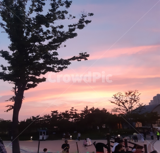 사람,자연,공원,감성사진,나무,노을,저녁,빈티지,빈티지사진,vintage,picnic,city,life