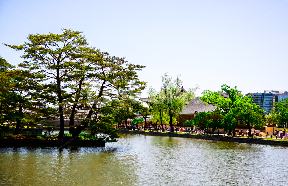 경복궁,경회루,소나무,저수지,전통,랜드마크,landmark,tourist attraction,한국랜드마크,한국관광지,한국명소,korea landmark,korea tourist attraction,사람들,대중,군중,other people,crowd