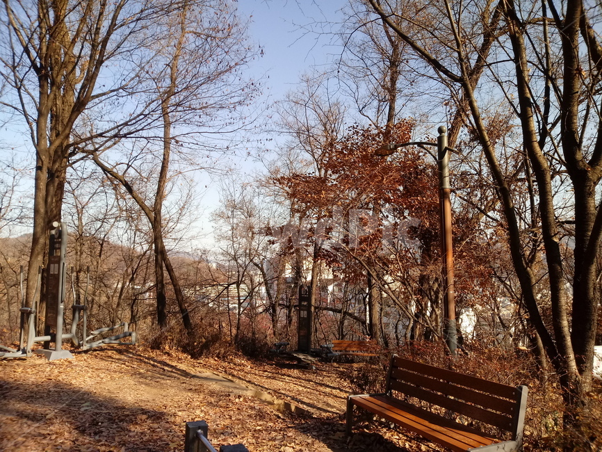 산,동네뒷산,자연,겨울,등산,풍경
