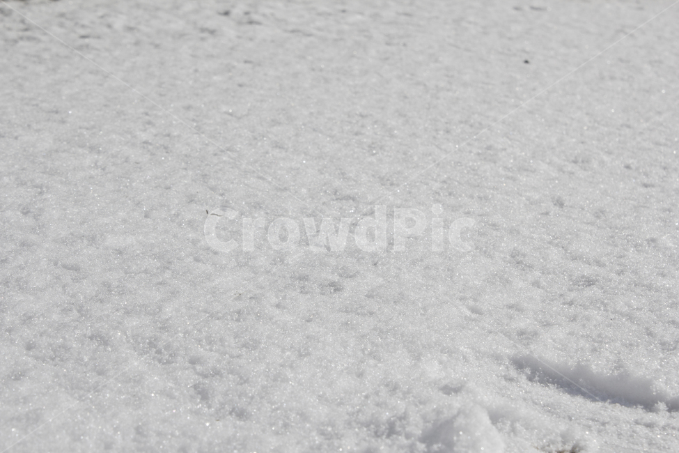 겨울,눈,눈밭,스노우,눈길,눈쌓인,폭설,자연,snow,흰색,화이트,하얀색,탑,탑뷰,탑앵글,표면