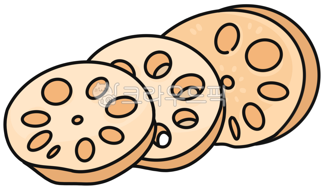 연근,연근그림,연근일러스트,농작물,농작물수확,농작물수확그림,농촌체험,농촌체험그림