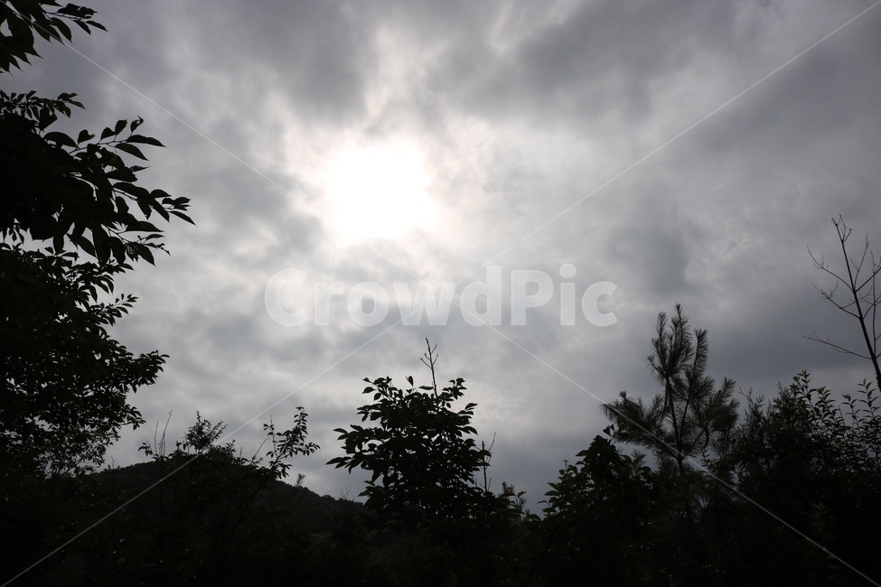 하늘,구름,햇빛,나무,자연,sky,sora,cloud,kumo,sunlight,hizashi,tree,ki,nature,자연,풍경,nature,landscape,silhouette,실루엣,weather,날씨