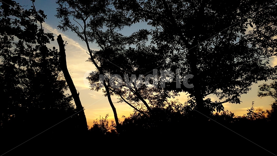 하늘,노을,숲,풍경,구름,자연,풍경,nature,landscape,silhouette,실루엣,outdoors,옥외