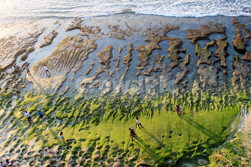 인도네시아,발리,발랑안,발랑안해변,썰물,해변,바닷가,indonesia,bali,balangan,balanganbeach,beach,ebb,ebbtide,greenbeach,녹색해변,해변,바다,beach,sea