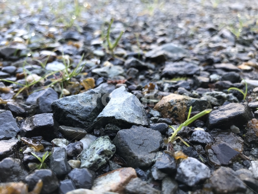 돌,바닥,길,산,풍경,풍경사진,돌멩이,자연,배경,봄,겨울,식물,자연,plants,nature