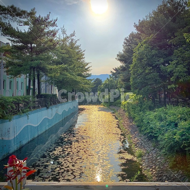 강,태양,빛,light,서울랜드