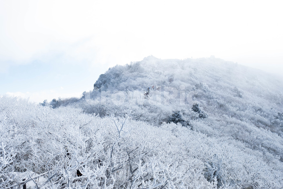 설경,산,겨울산,겨울,눈꽃,눈,등산,능선,추위,도전,하늘,구름,정상,흐림,덕유산,계절,winter,season,자연풍경,nature,landscape,한국자연풍경,한국자연경관,koreanaturelandscape,바람,흩날리다,무주,향적봉,상고대,눈보라,폭설,설산,설국,겨울,계절,winter,season,자연,풍경,nature,landscape,한국자연풍경,한국자연경관,korea nature landscape,ice,빙,outdoors,옥외