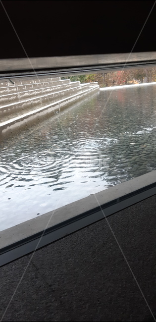 빗방울,rain,비,window,비오는날,rainyday,dropwater