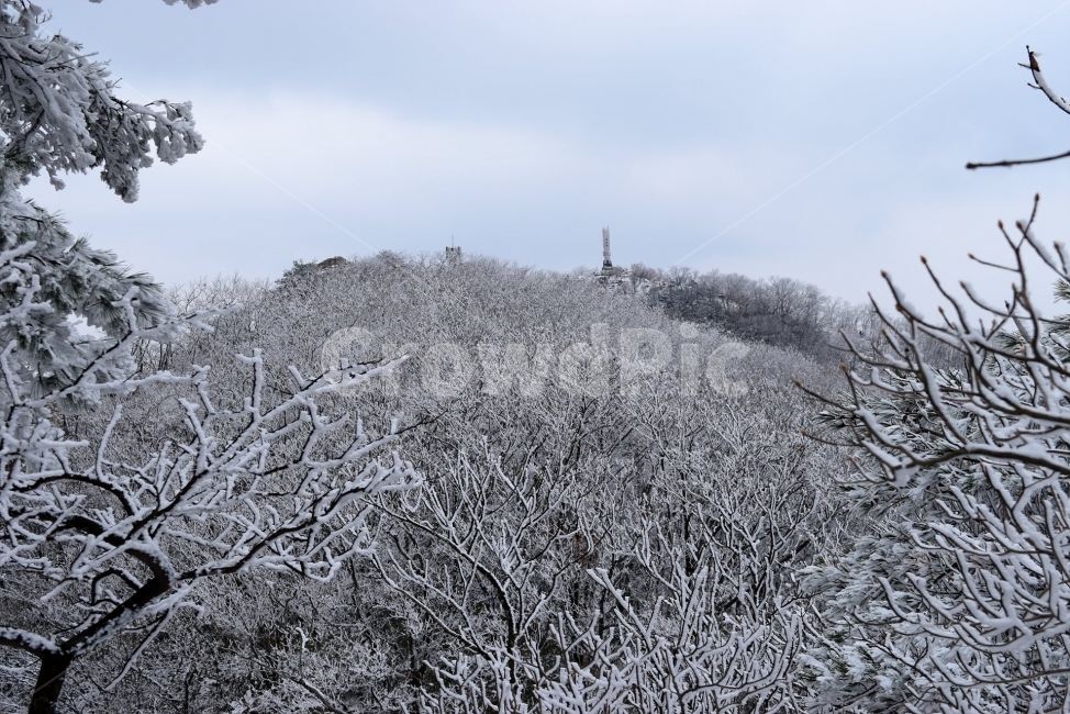 설경,풍경,대둔산,눈꽃,삼선계단,자연,nature,landscape,겨울,계절,winter,season,탐방,도립공원,힐링,감성,정취,산세,명산,100대명산,산,등산,트레킹,풍경사진,비경,경치,겨울사진,겨울색채,경관,기암,암봉우리,mountain,금산,완주,논산,마천대,케이블카,구름다리,fall,autumn,한국자연풍경,한국자연경관,korea,겨울,계절,winter,season,자연,풍경,nature,landscape,outdoors,옥외,snow,눈,frost,서리