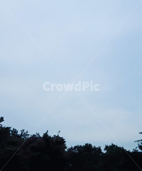 하늘,파란하늘,배경,풍경,sky,구름