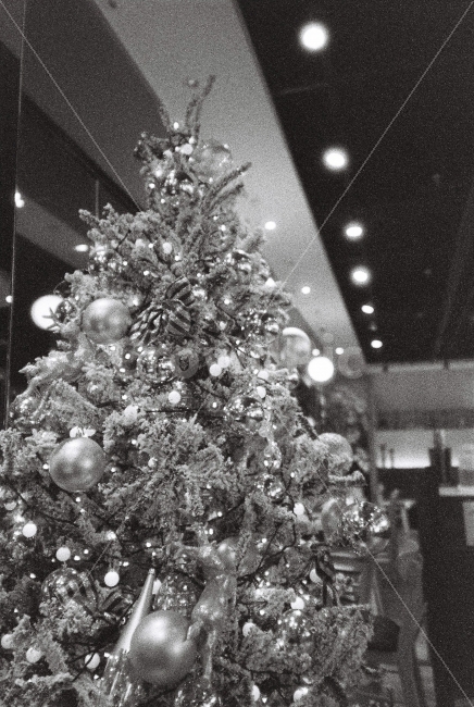 필름,필름사진,흑백사진,크리스마스,감성,film,bw,monochrome,christmas,cafe,카페,단골,grain,ilford,delta,iso3200,light,종교,신앙,religion,belief,faith,기념일,축하,anniversary,congratulation,celebrate,celebration,메리크리스마스,성탄절,merry christmas,감성,sensible,feeling,흑백,모노톤,monochrome,black and white,인테리어,실내디자인,interior design
