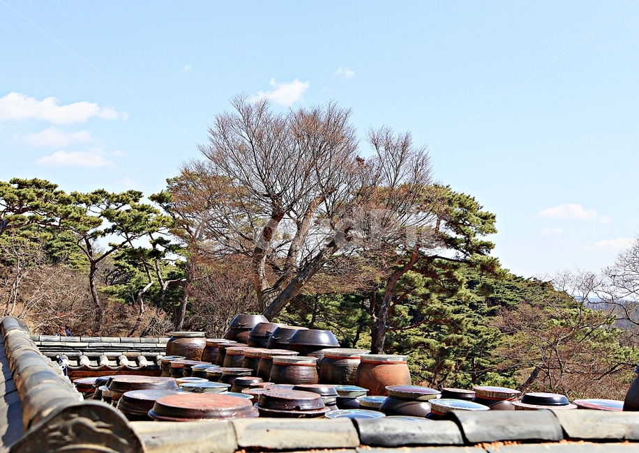 항아리,장독대,독,풍경,자연,장,배경,먹거리,음식,식자재,자연,풍경,nature,landscape,한국자연풍경,한국자연경관,korea nature landscape