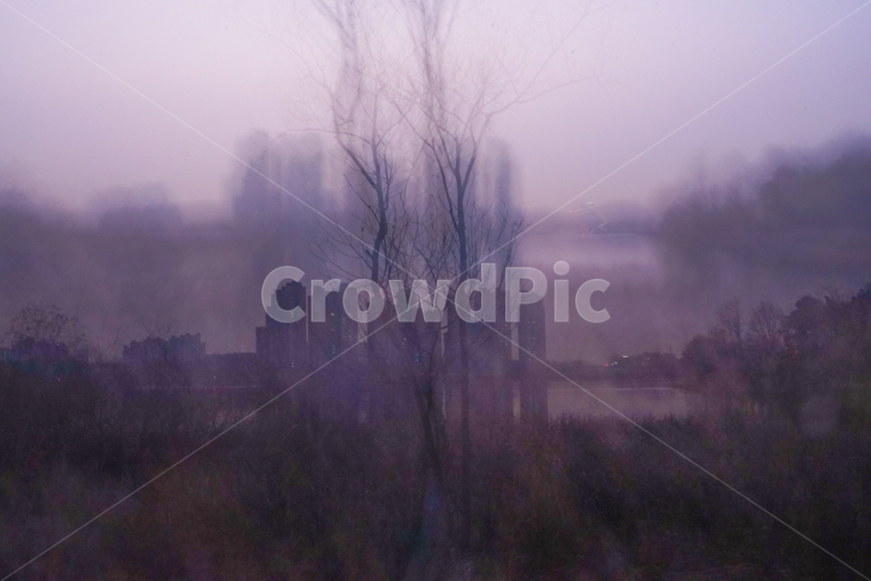 아파트,건물,나무,이중상,다중노출,풍경,도시,풍경,city,landscape,식물,자연,plants,nature,나무,trees,wood,weather,날씨,outdoors,옥외,fog,안개,mist