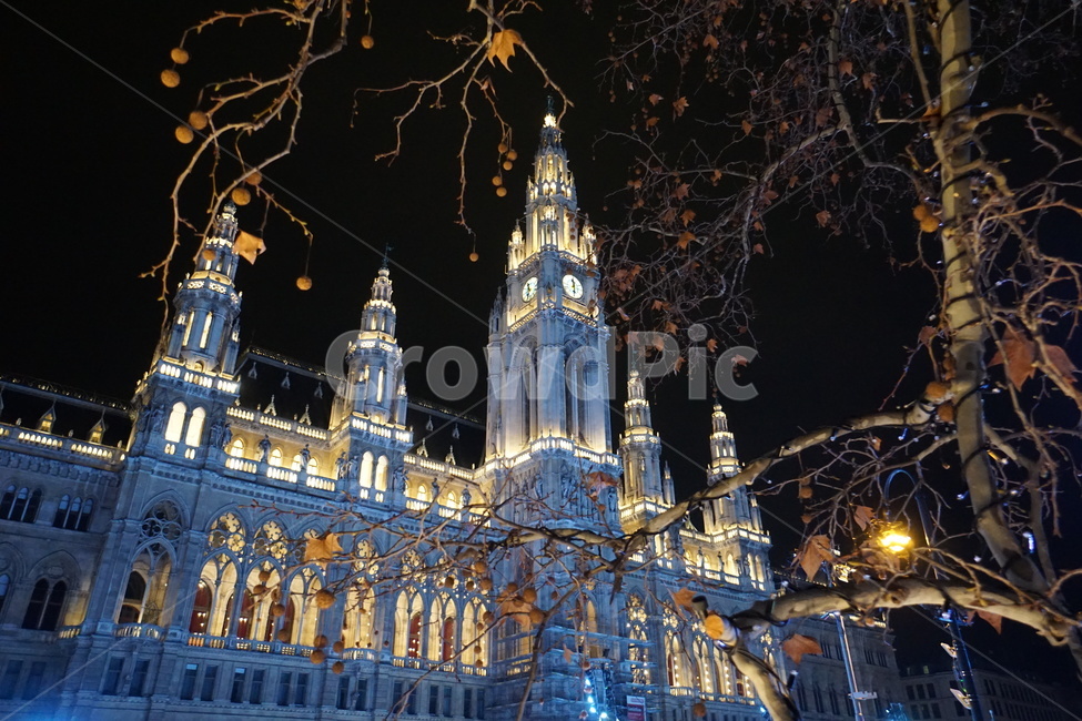 랜드마크,해외,건축물,wien,nightlight,비엔나,시청사,야경,도시,관광명소,외국,세계,architecture,building,landmark,야경,밤,풍경,nightscape,night,landscape,해외,외국,세계,foreign,oversea,world