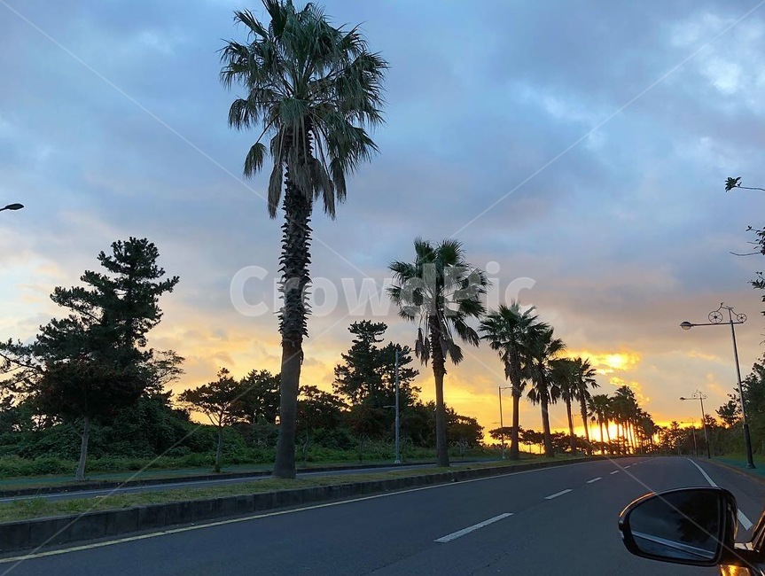 제주도,풍경,노을,도로,드라이브,자연,풍경,nature,landscape,road,asphalt,아스팔트