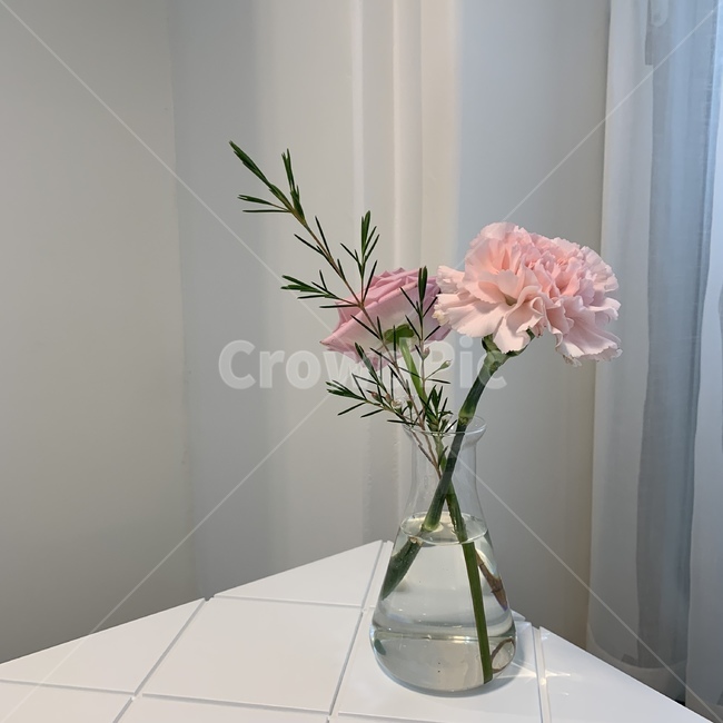 생화,분홍꽃,꽃,white,pink,flowerpot,화분,꽃,flower,실내용화초,화분,화초,house plant,인테리어,실내디자인,interior design