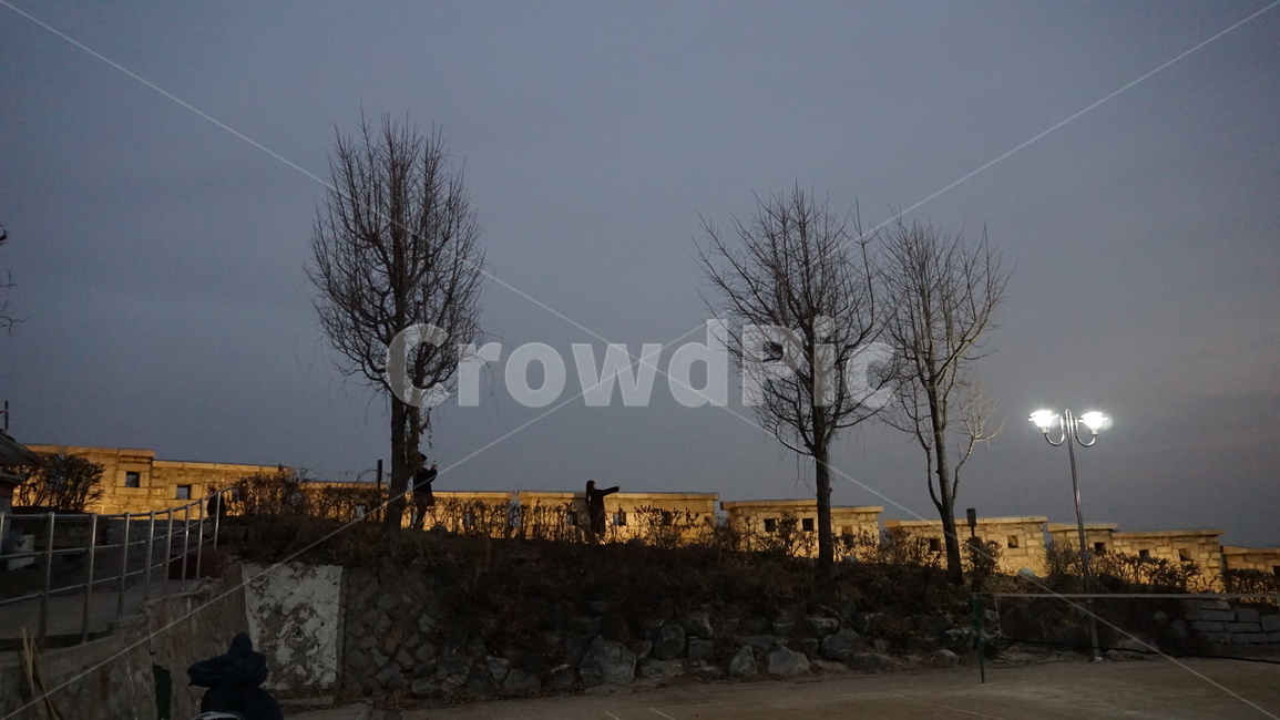 성곽갈,밤,가로등,한양도성,낙산공원,산책,야경,cityscape,nightscape,야경,밤,풍경,nightscape,night,landscape,nature,자연