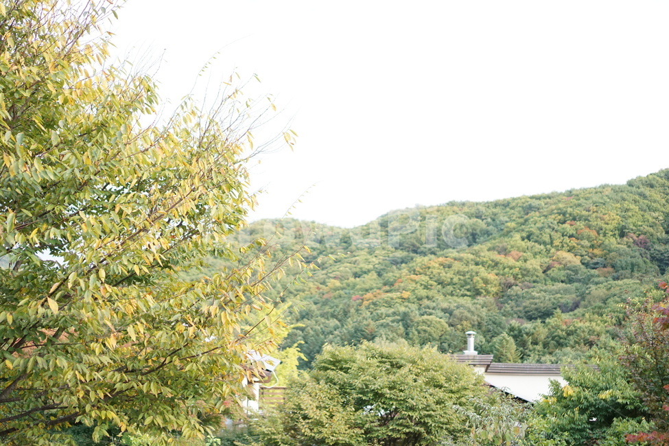 남한산성,자연,초록색,나무,산,자연,풍경,nature,landscape,outdoors,옥외