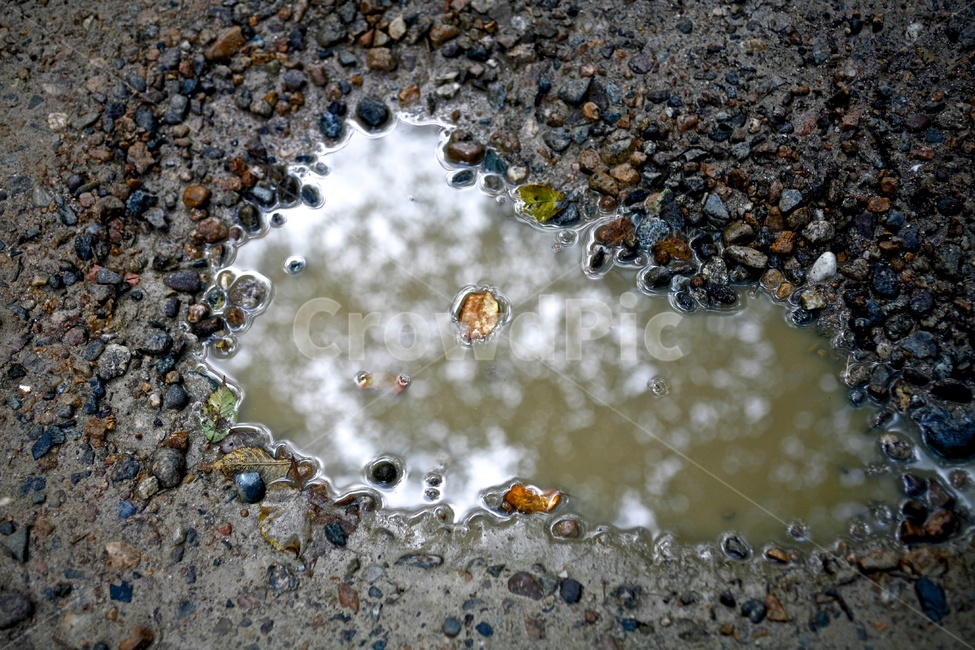 가을,물웅덩이,반사,자갈,숲속,fall,reflex,자연,풍경,nature,landscape,puddle,흐리게 하다