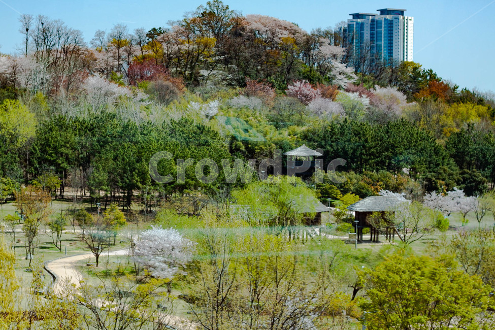 봄풍경,김해시,수로왕릉역근처,봄,공터,봄,계절,spring,season,자연,풍경,nature,landscape,outdoors,옥외