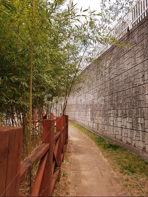 봄,산책,나무,풀,산책로,돌계단,하늘,4월,돌담,대나무,길,자연,풍경,nature,landscape,wall,벽