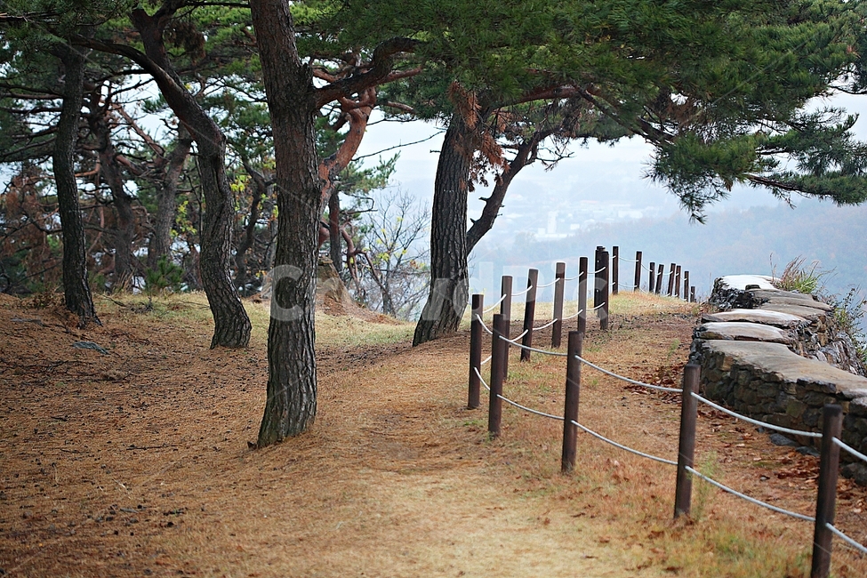 전등사,성,성곽,단풍,낙엽,산성,길,둘레길,숲,숲길,담,돌담,가을,자연,풍경,벽,방어벽,돌,나무,식물,가을,계절,fall,autumn,season,자연,풍경,nature,landscape