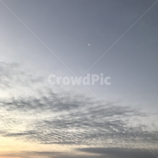 새해,해돋이,바다,하늘,구름,sea,sky,cloud
