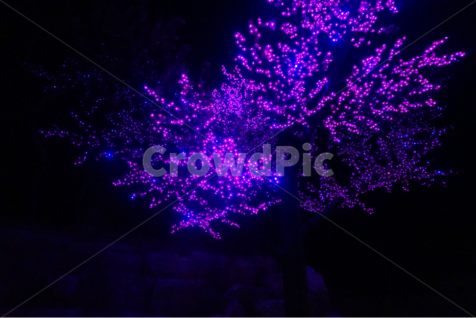 야경,불빛,풍경,별빛,가평,나무,보라빛,scenery,tree,light,nightview,야경,밤,풍경,nightscape,night,landscape,축제,행사,festival,carnival,event
