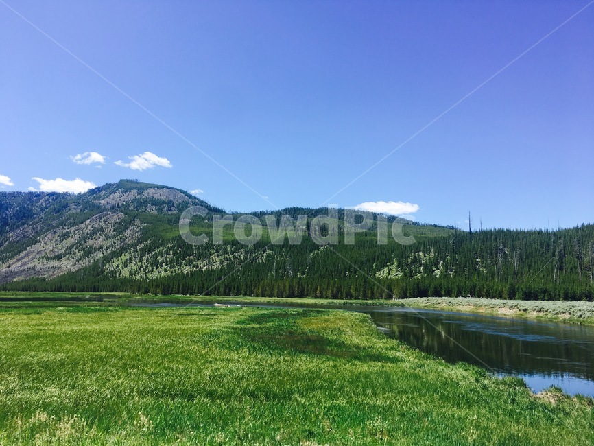 nature,자연,outdoors,grassland,목초지,field,들,잔디,봄,green,초록,평화,자연,풍경,nature,landscape,옥외