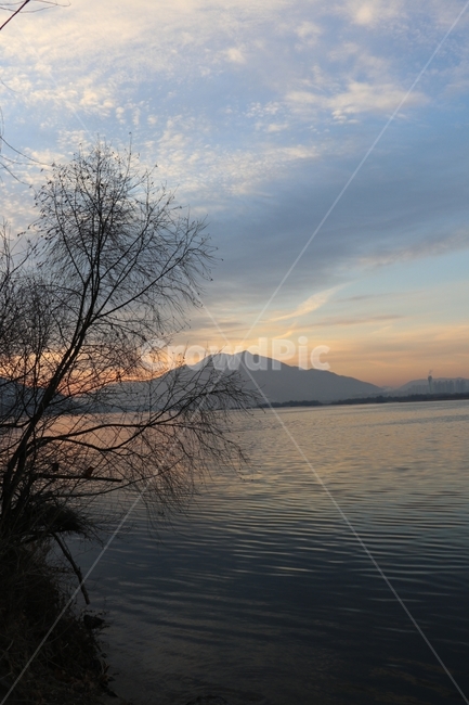 풍경,여명,나무,강,한강,반영,겨울아침,자연,풍경,nature,landscape,한국자연풍경,한국자연경관,korea nature landscape,outdoors,옥외,water,물