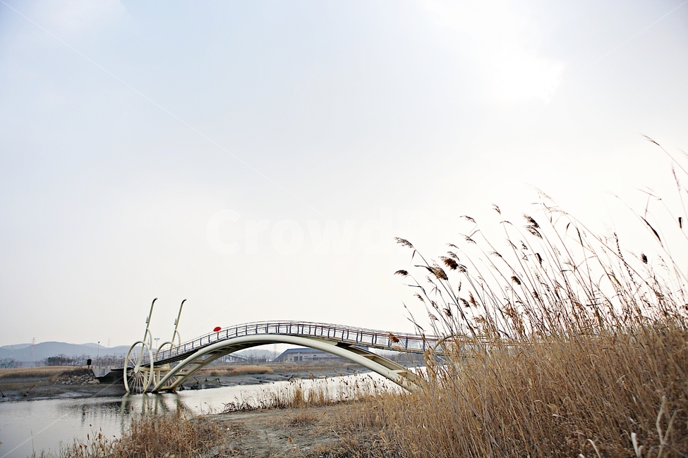 미생의다리,다리,갯벌,바다,자연,베경,풍경,생태공원,건축물,건물외관,exterior,building,structure,architecture,construction
