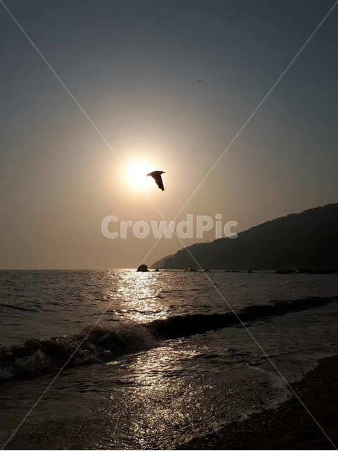 바다,노을,갈매기,파도,섬