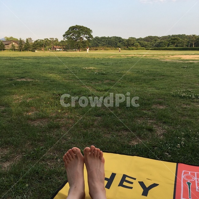 잔디,풍경,봄,소풍,한적한,피크닉,picnic,sunny