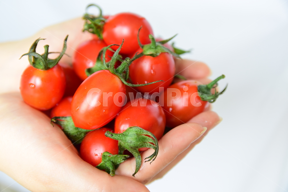 tap,hands,Cherry tomato,tomato,Both hands full,food,two hands,Food Ingredients,ingredients,A handful,hand,full
