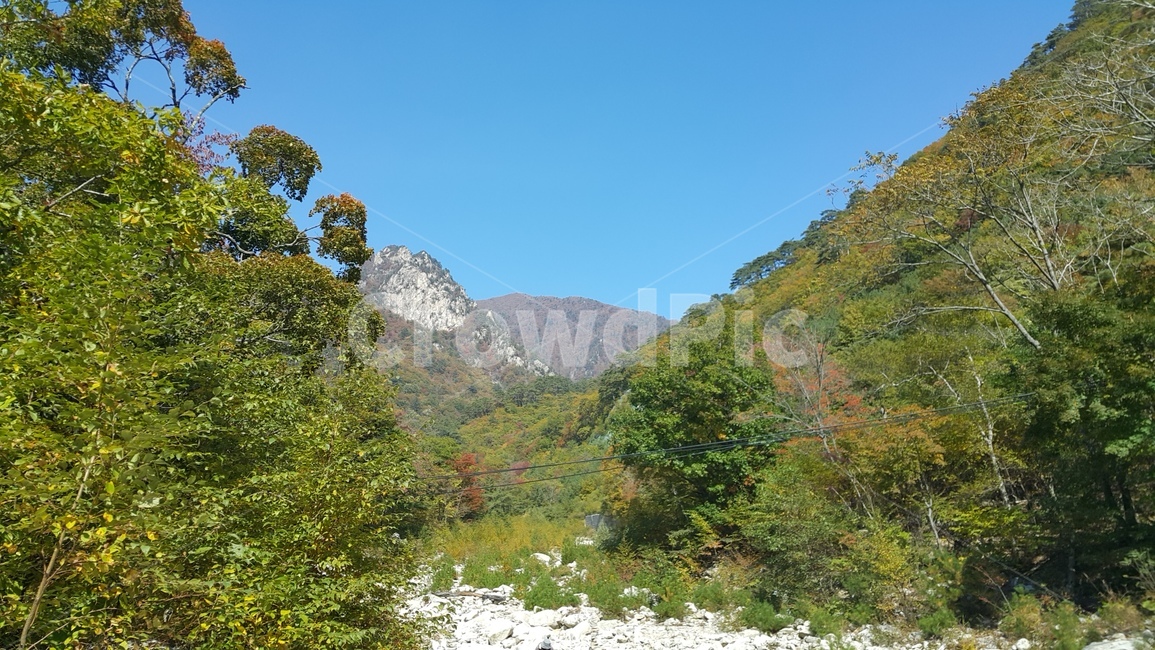 설악산,만경대,주전골,금강문,가을단풍,단풍,화려,국립공원,설악산국립공원,탐방,자연,풍경,nature,landscape,outdoors,옥외,mountain,산