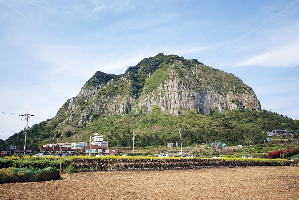 산방산,제주도,제주도산방산,제주도가볼만한곳,제주여행,제주관광,유채꽃,자연,풍경,nature,landscape,한국자연풍경,한국자연경관,korea nature landscape,제주도,jeju,jeju island,outdoors,옥외