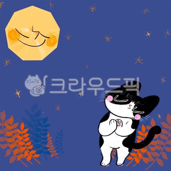 full moon,wish,cat,moon,make a wish