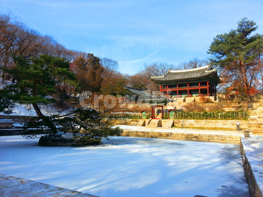창덕궁,후원,유네스코,문화유산,관광,changdeokpalace,garden,unesco,heritage,tour,tourism,palace,korean,겨울,계절,winter,season,한국전통,한국문화,korean traditional,korean culture,랜드마크,landmark,tourist attraction,한국랜드마크,한국관광지,한국명소,korea landmark,korea tourist attraction,건축물,건물외관,exterior,building,structure,architecture,construction